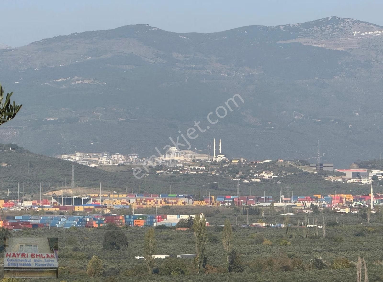 Gemlik Gencalide Deniz Manzaralı 6060 M2 Togga Yakın Zeytinlik - Görsel 13