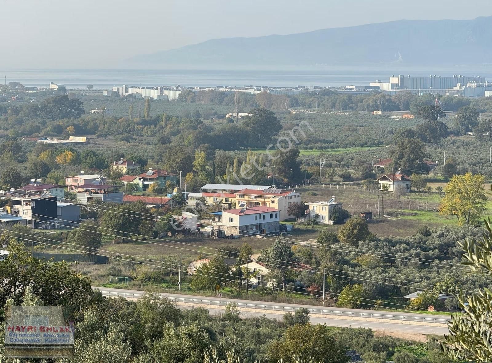Gemlik Gencalide Deniz Manzaralı 6060 M2 Togga Yakın Zeytinlik - Görsel 4