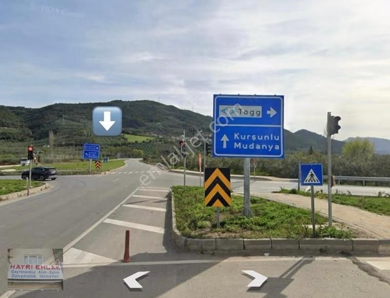 Gemlik Gencalide Deniz Manzaralı 6060 M2 Togga Yakın Zeytinlik - Görsel 18