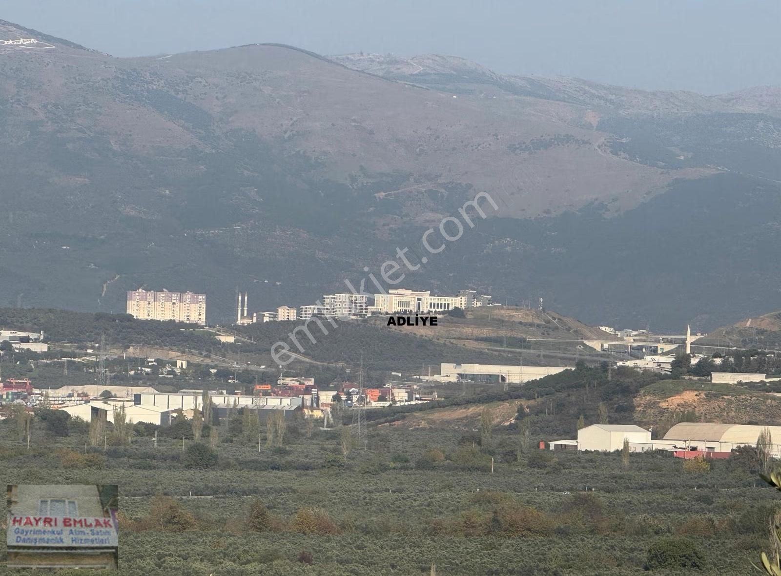 Gemlik Gencalide Deniz Manzaralı 6060 M2 Togga Yakın Zeytinlik - Görsel 14