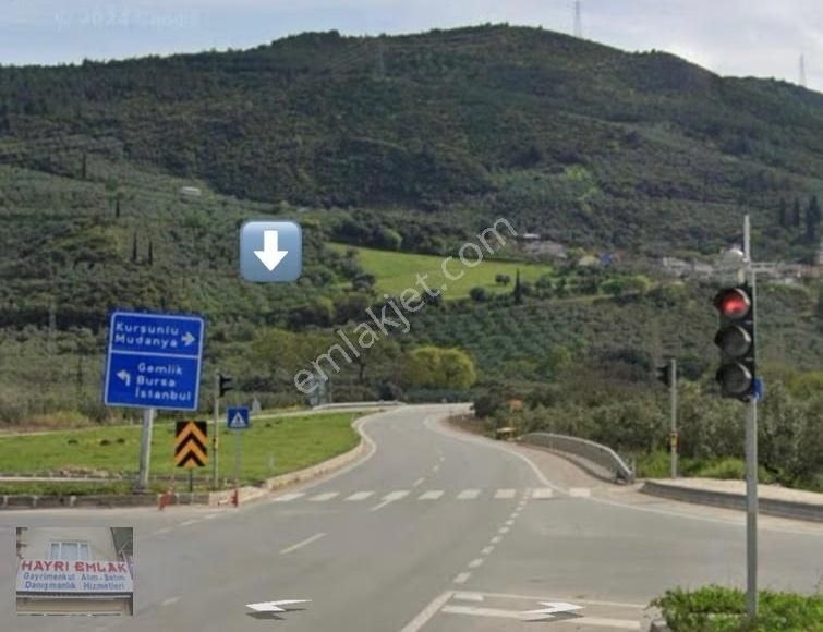 Gemlik Gencalide Deniz Manzaralı 6060 M2 Togga Yakın Zeytinlik - Görsel 16