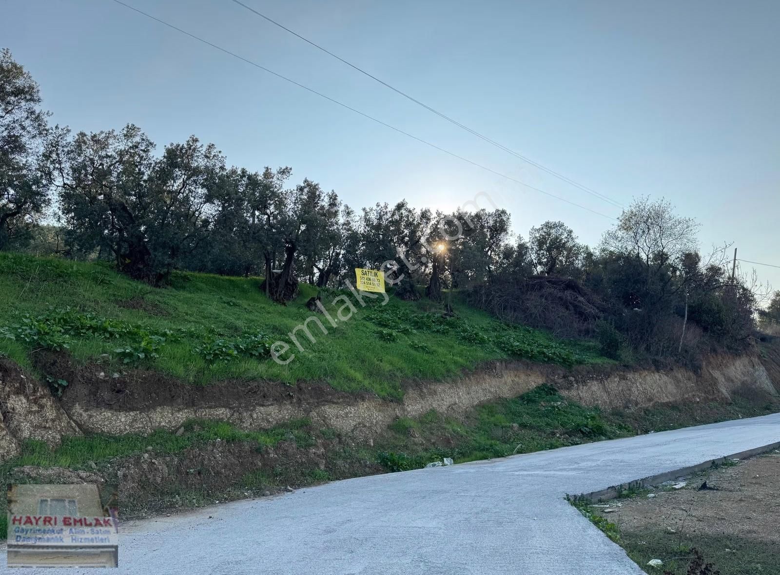Gemlikte Yalova-bursa Yoluna 100 Metre 2835 M2 İmara Sıfır - Görsel 19