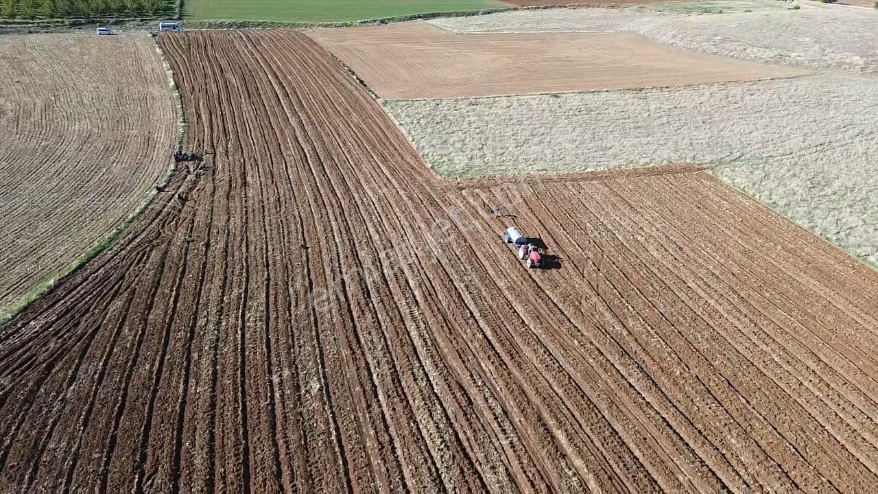 Göl Manzaralı | 16.000 M² Lavanta Bahçesi | İntermedia Cinsi - Görsel 5