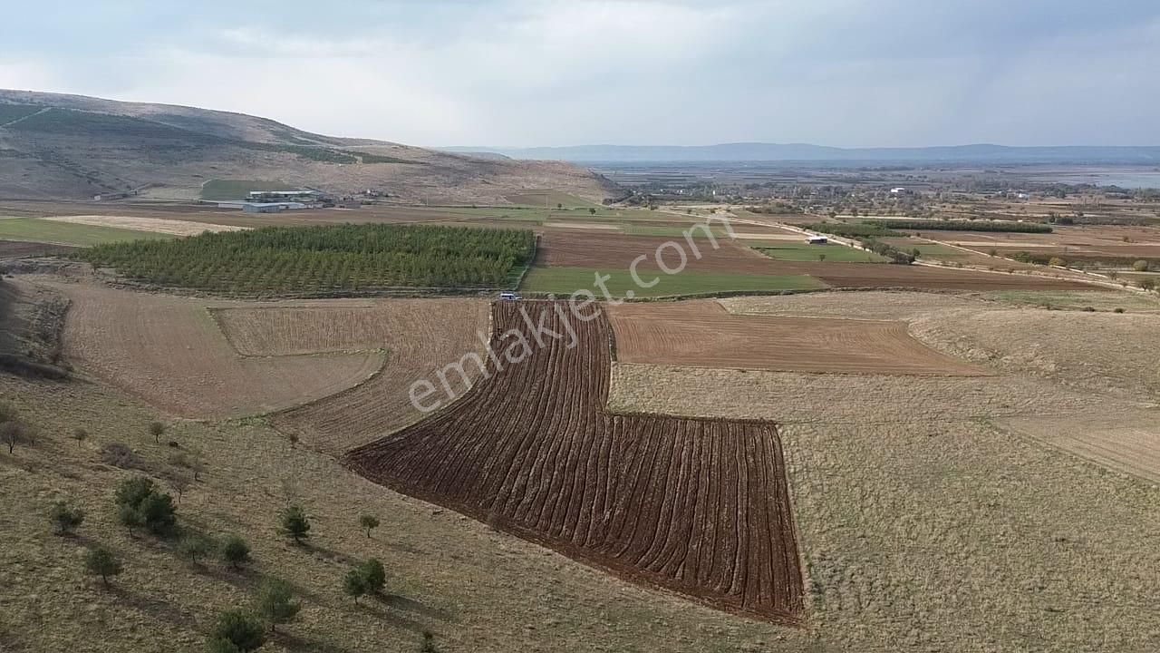 Göl Manzaralı | 16.000 M² Lavanta Bahçesi | İntermedia Cinsi - Görsel 19