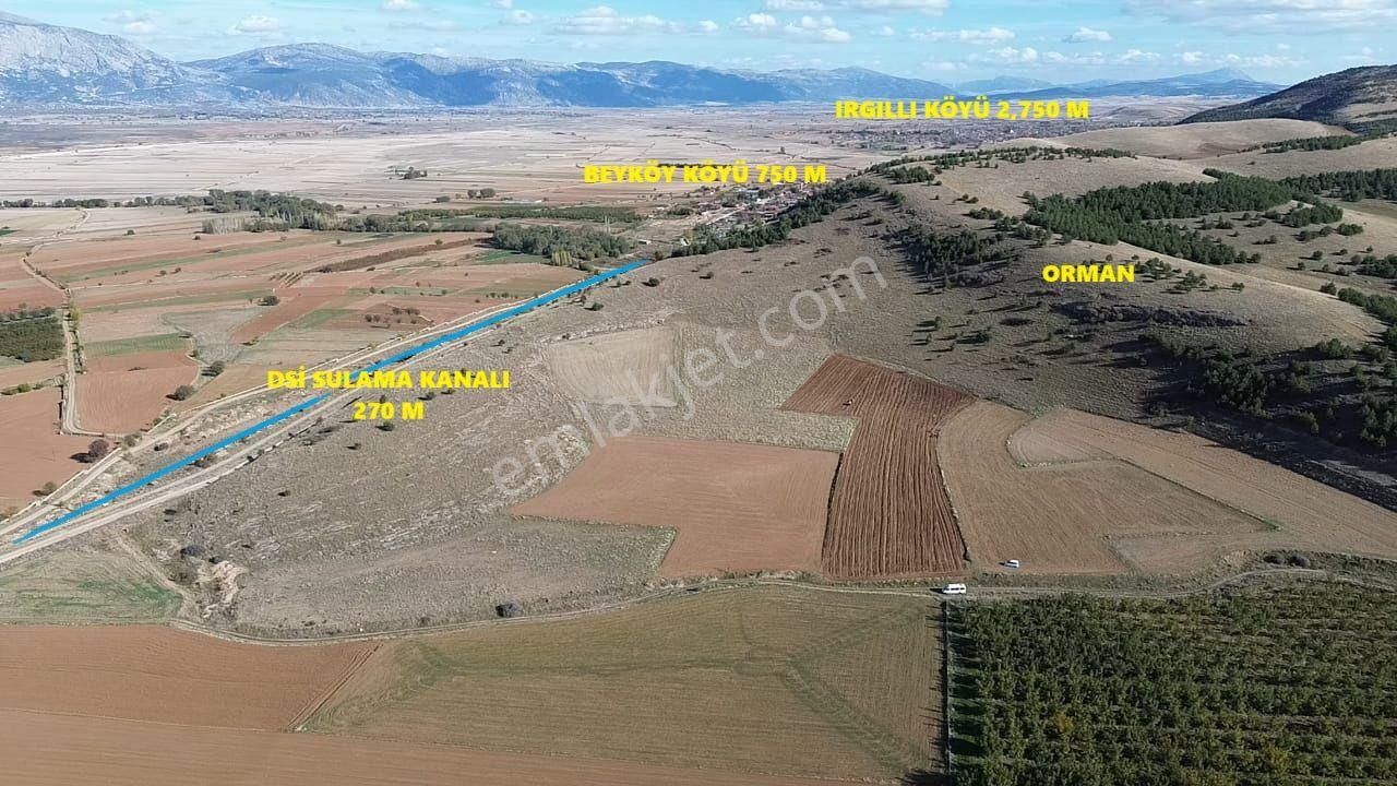 Göl Manzaralı | 16.000 M² Lavanta Bahçesi | İntermedia Cinsi - Görsel 2