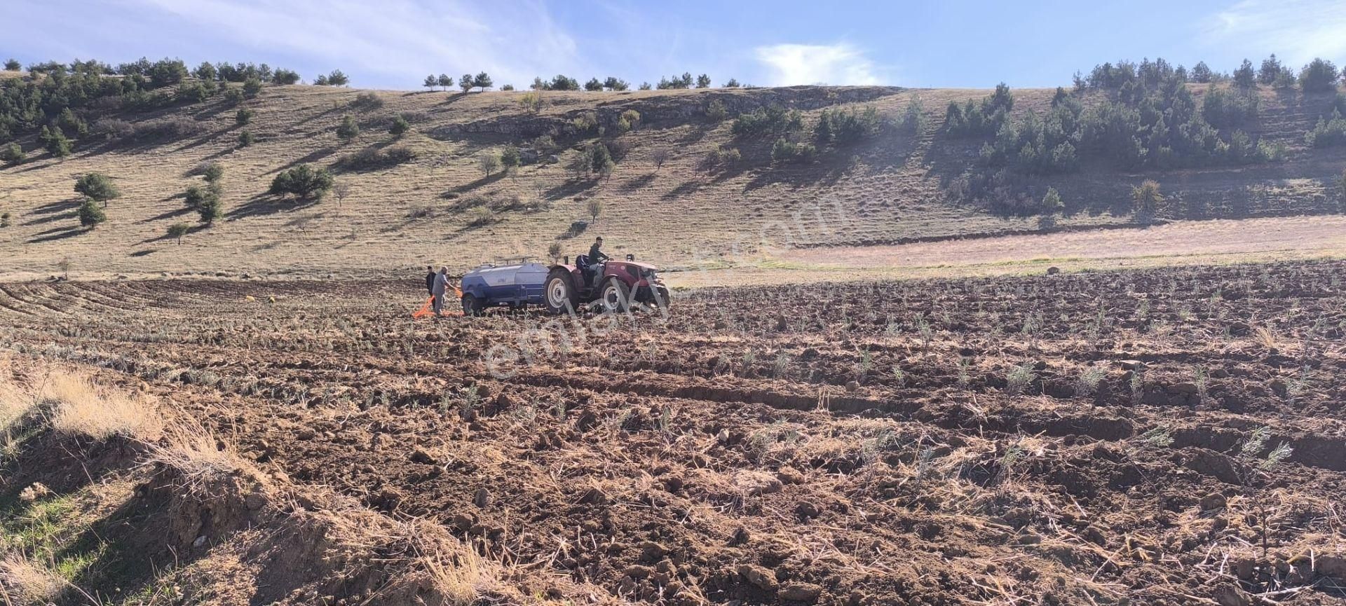 Göl Manzaralı | 16.000 M² Lavanta Bahçesi | İntermedia Cinsi - Görsel 4