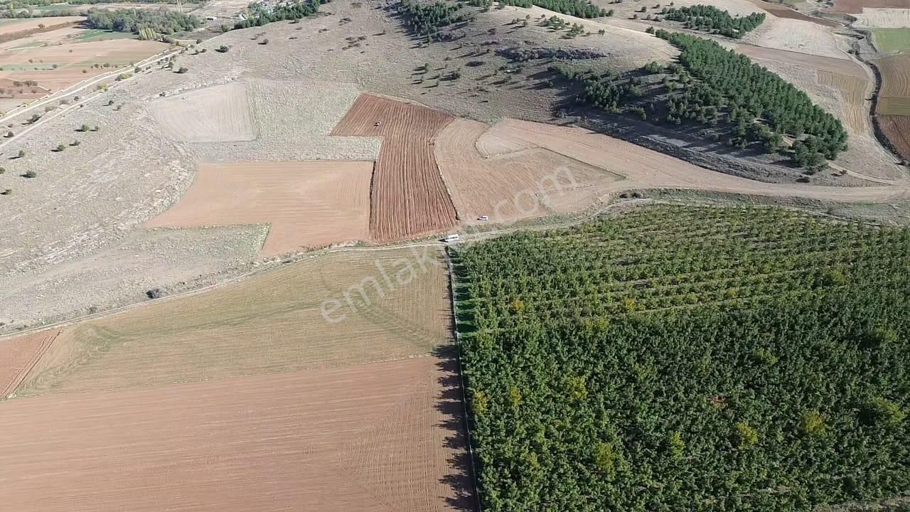 Göl Manzaralı | 16.000 M² Lavanta Bahçesi | İntermedia Cinsi - Görsel 15