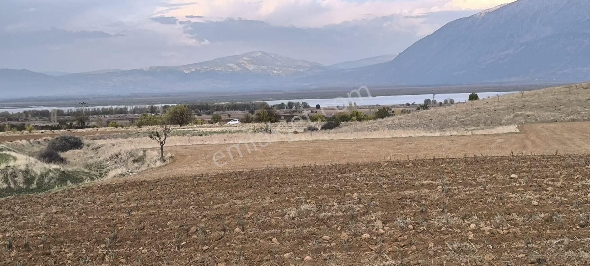 Göl Manzaralı | 16.000 M² Lavanta Bahçesi | İntermedia Cinsi - Görsel 11