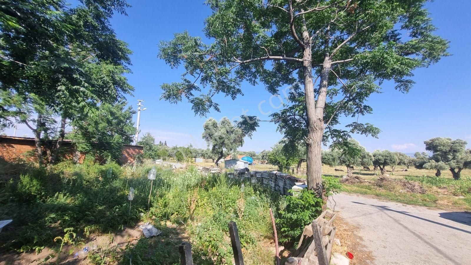 Söke Cumhurıyet Mahallesınde Vılla Imarlı Köşe Arsa - Görsel 8