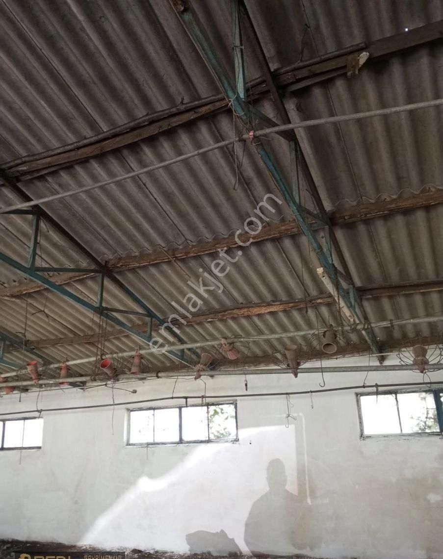 Real - Erdek Yukarıyapıcı Mahallesi’nde Ana Yola Cepheli, Ruhsatlı Tavukhane! - Görsel 2