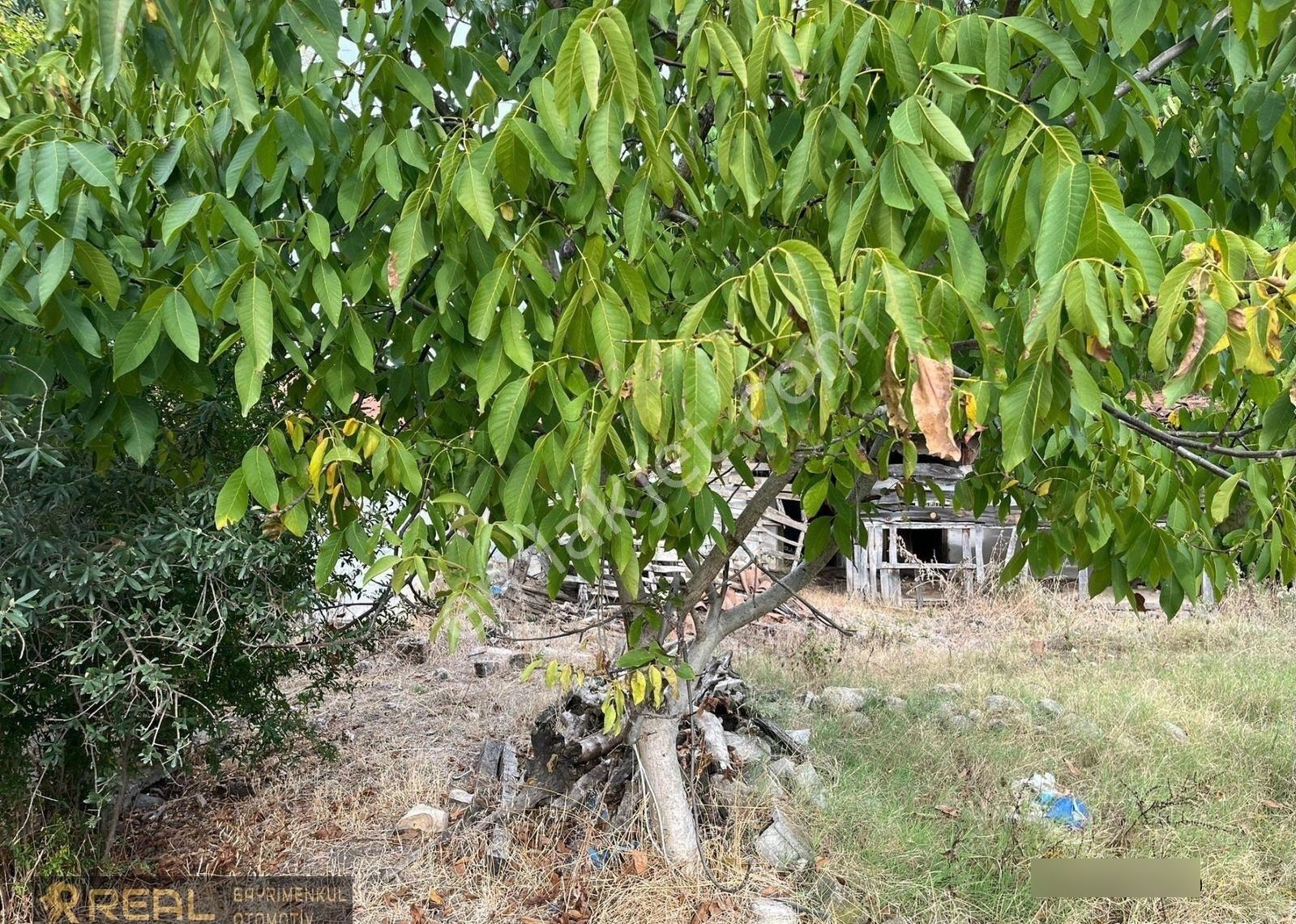 Realden Çanakkale Biga Koruoba Mahallesinde İmarlı Arsa Ve Kargır Deniz Manzaralı Ev - Görsel 9