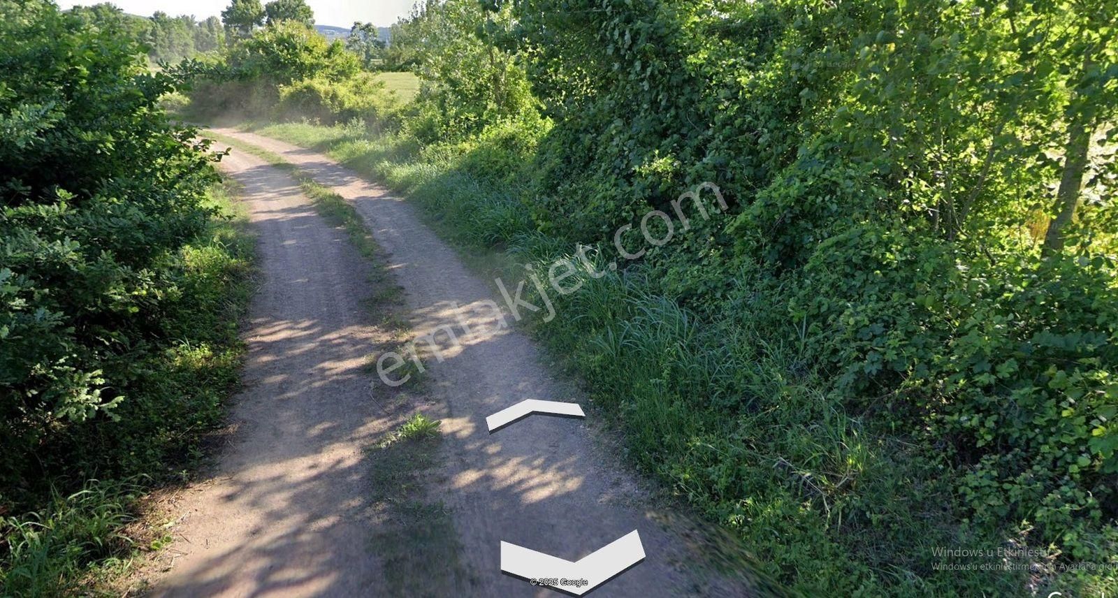 Şükran Gayrimenkul'den Salmanlı Baraja,köye Ve Yola Yakın Tarla - Görsel 2