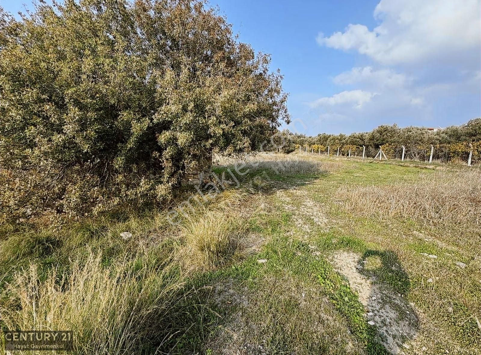 Çeşme Ovacık Musalla Mahallesinde 3482 M2 Yatırımlık Tarla - Görsel 12