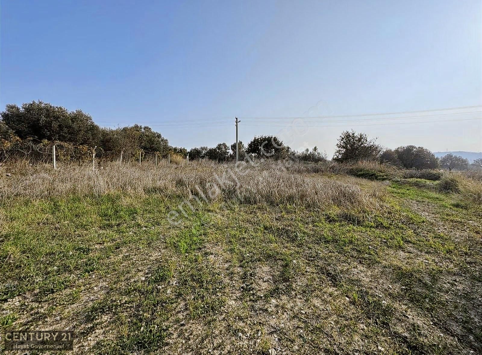 Çeşme Ovacık Musalla Mahallesinde 3482 M2 Yatırımlık Tarla - Görsel 11