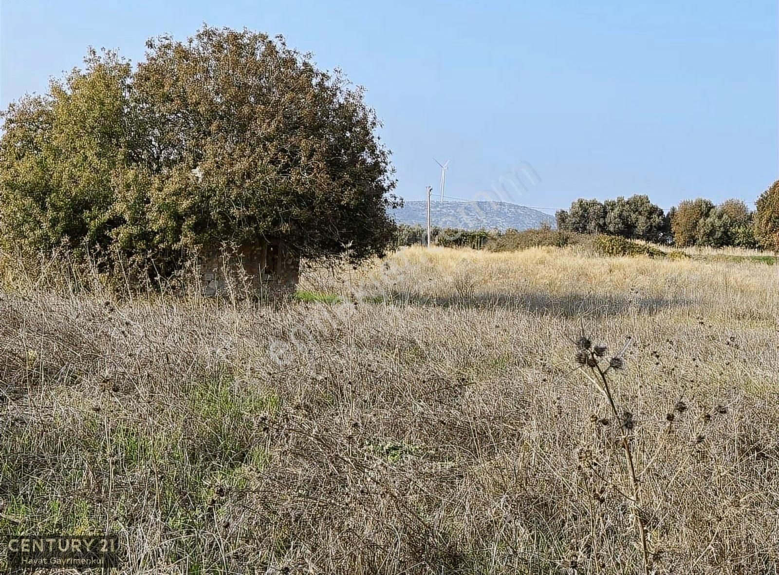 Çeşme Ovacık Musalla Mahallesinde 3482 M2 Yatırımlık Tarla - Görsel 2