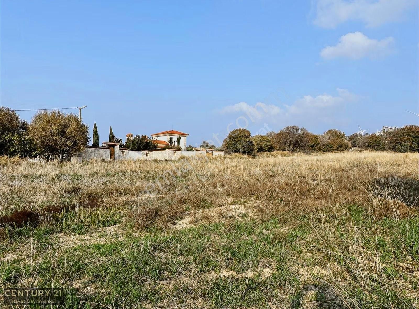 Çeşme Ovacık Musalla Mahallesinde 3482 M2 Yatırımlık Tarla
