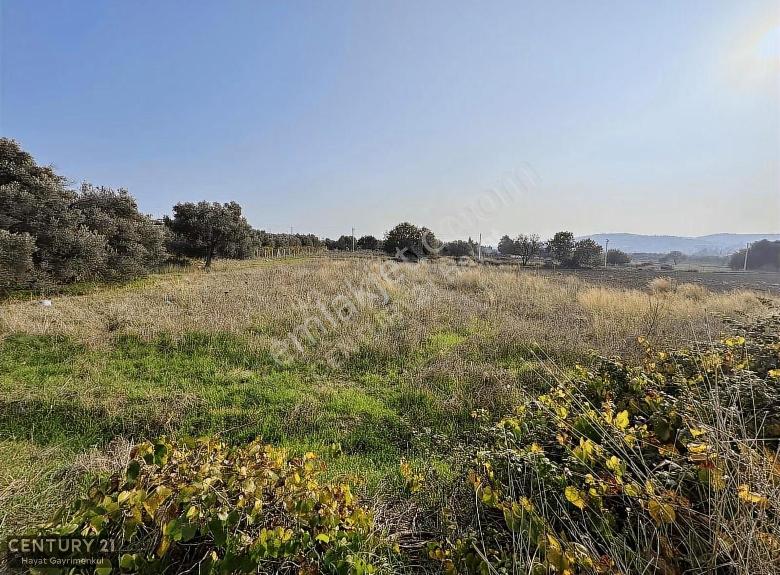 Çeşme Ovacık Musalla Mahallesinde 3482 M2 Yatırımlık Tarla - Görsel 15