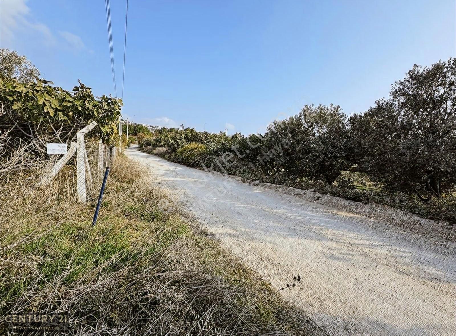 Çeşme Ovacık Musalla Mahallesinde 3482 M2 Yatırımlık Tarla - Görsel 17