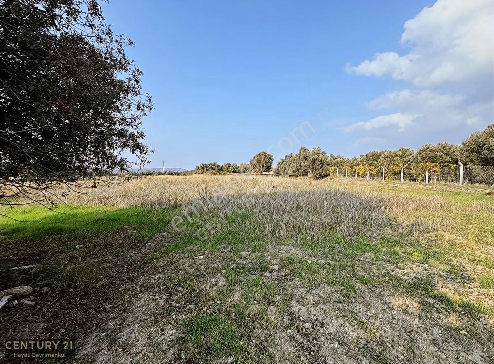Çeşme Ovacık Musalla Mahallesinde 3482 M2 Yatırımlık Tarla - Görsel 3