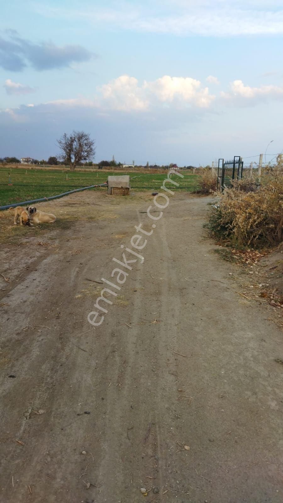 Kaçmaz Emlaktan Yeşilhisarda Satılık Evli Bahçe - Görsel 24