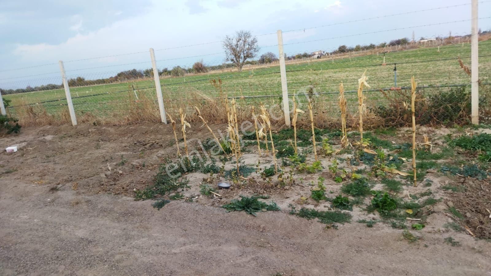 Kaçmaz Emlaktan Yeşilhisarda Satılık Evli Bahçe - Görsel 7