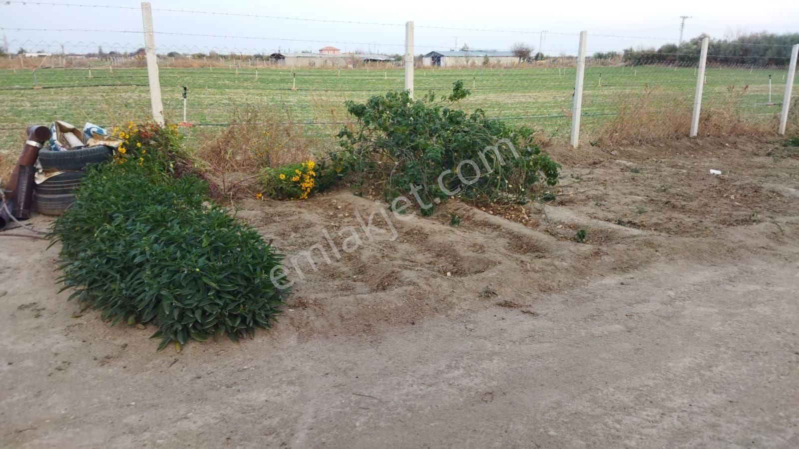 Kaçmaz Emlaktan Yeşilhisarda Satılık Evli Bahçe - Görsel 12