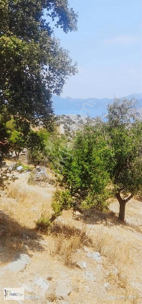Marmaris Selimiye Koyuna Yakın Deniz Manzaralı Satılık Arsa - Görsel 3