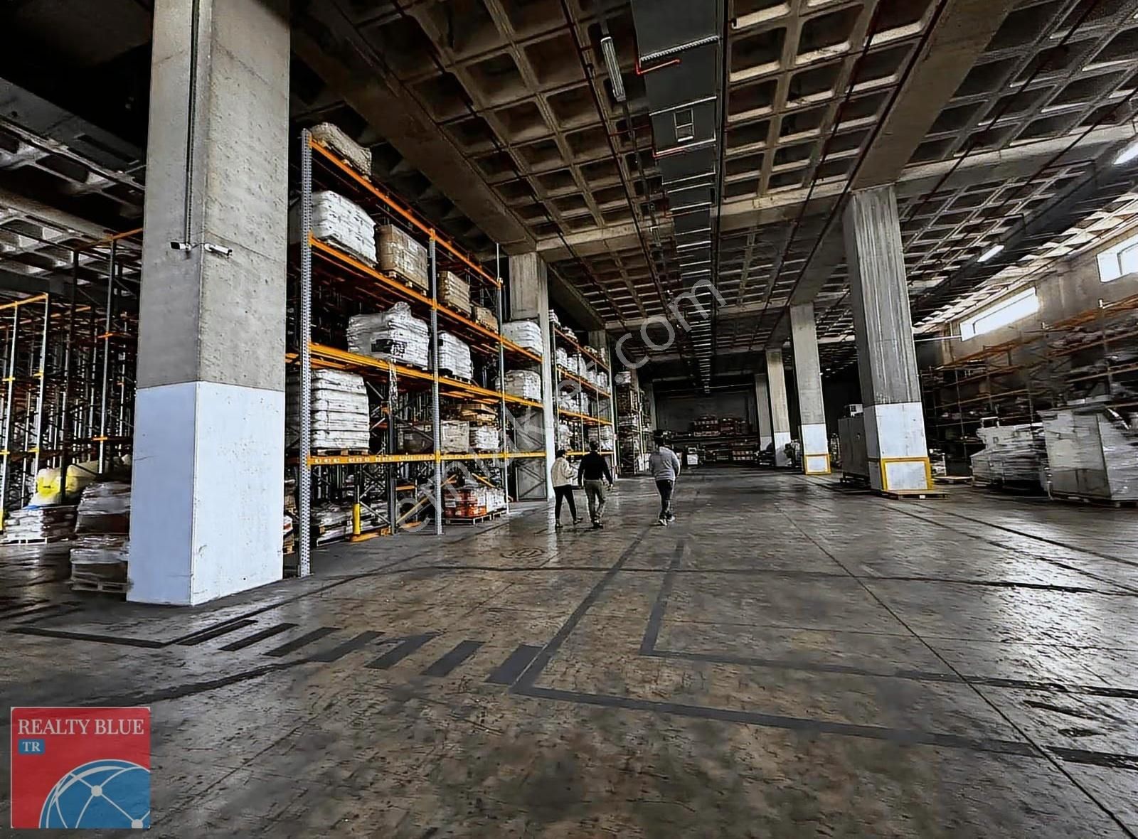 Çağrı Horasan'dan Tuzla'da 16.000 M2 Kiralık Lojistik Depo - Görsel 2