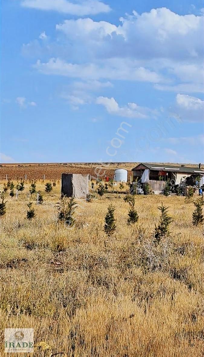 Gödene Karşısı Kelepir Hobi Bahçesi 300m2 2adet Yol Su Tel Var - Görsel 7