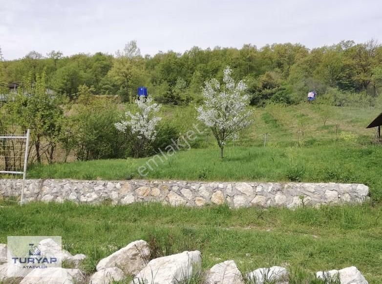 Turyap`tan Nilüfer Maksempınar`da Satılık 2400m2 Arazi - Görsel 4