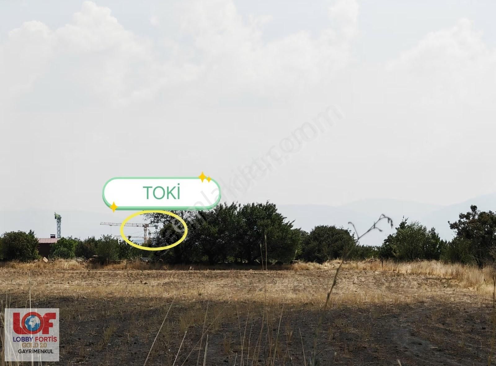 Lobby Fortis'ten Sandıklı Karacaören Sulak Satılık Tarla