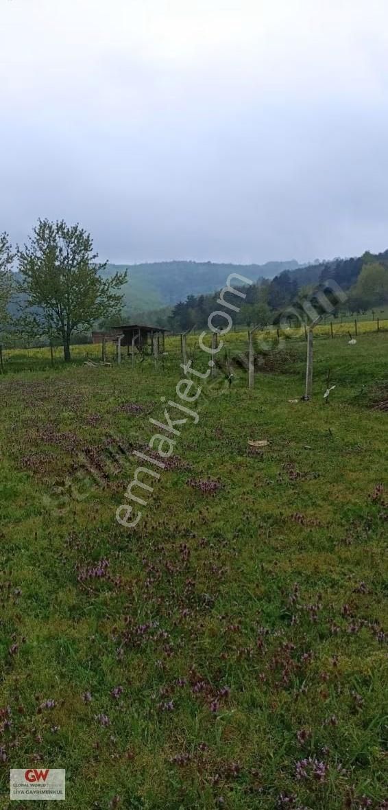 İznik Sansarak Köyünde Satılık Arazi - Görsel 6