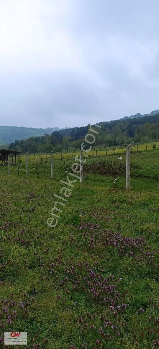 İznik Sansarak Köyünde Satılık Arazi - Görsel 4
