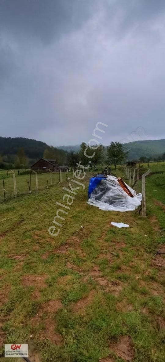 İznik Sansarak Köyünde Satılık Arazi - Görsel 8
