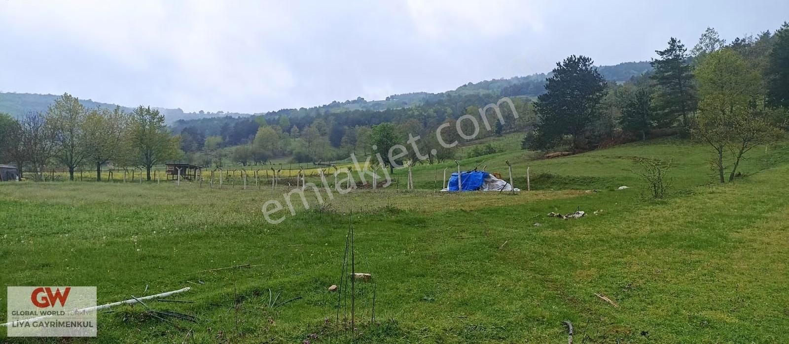 İznik Sansarak Köyünde Satılık Arazi - Görsel 5