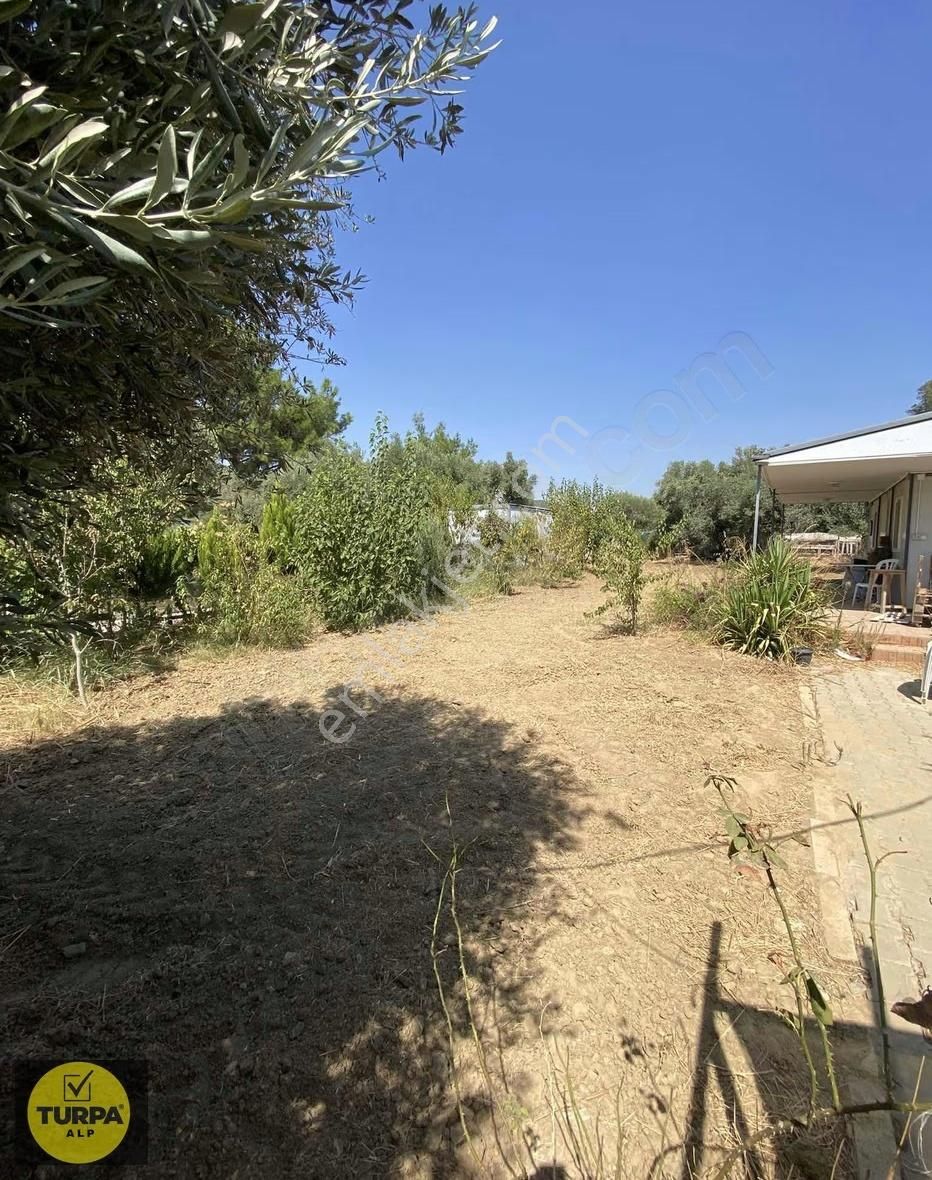 Torbalıda 448 M2 Hisse Tapulu Bahçe - Görsel 3