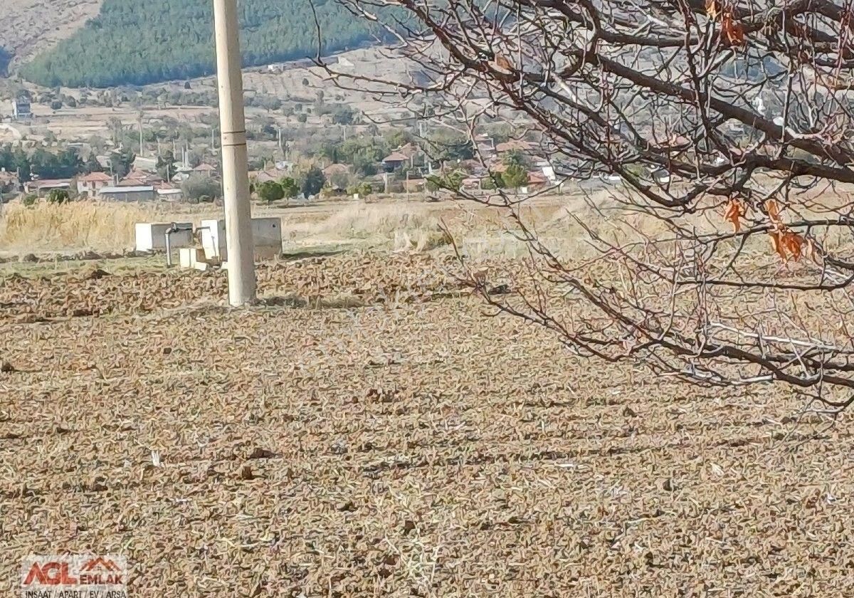 Çivril Somak Mahallesinde 15 Yıllık Badem Tarlası Satılıktır - Görsel 14