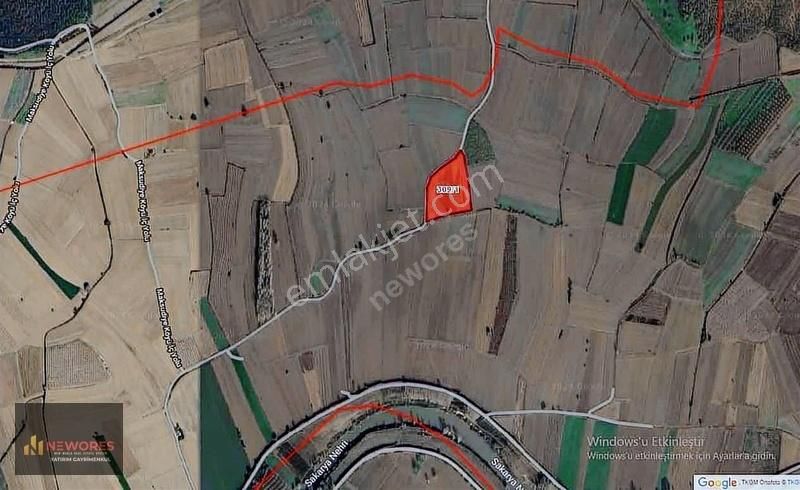 Sakarya Söğütlü 17 Dönüm Arazi - Görsel 6