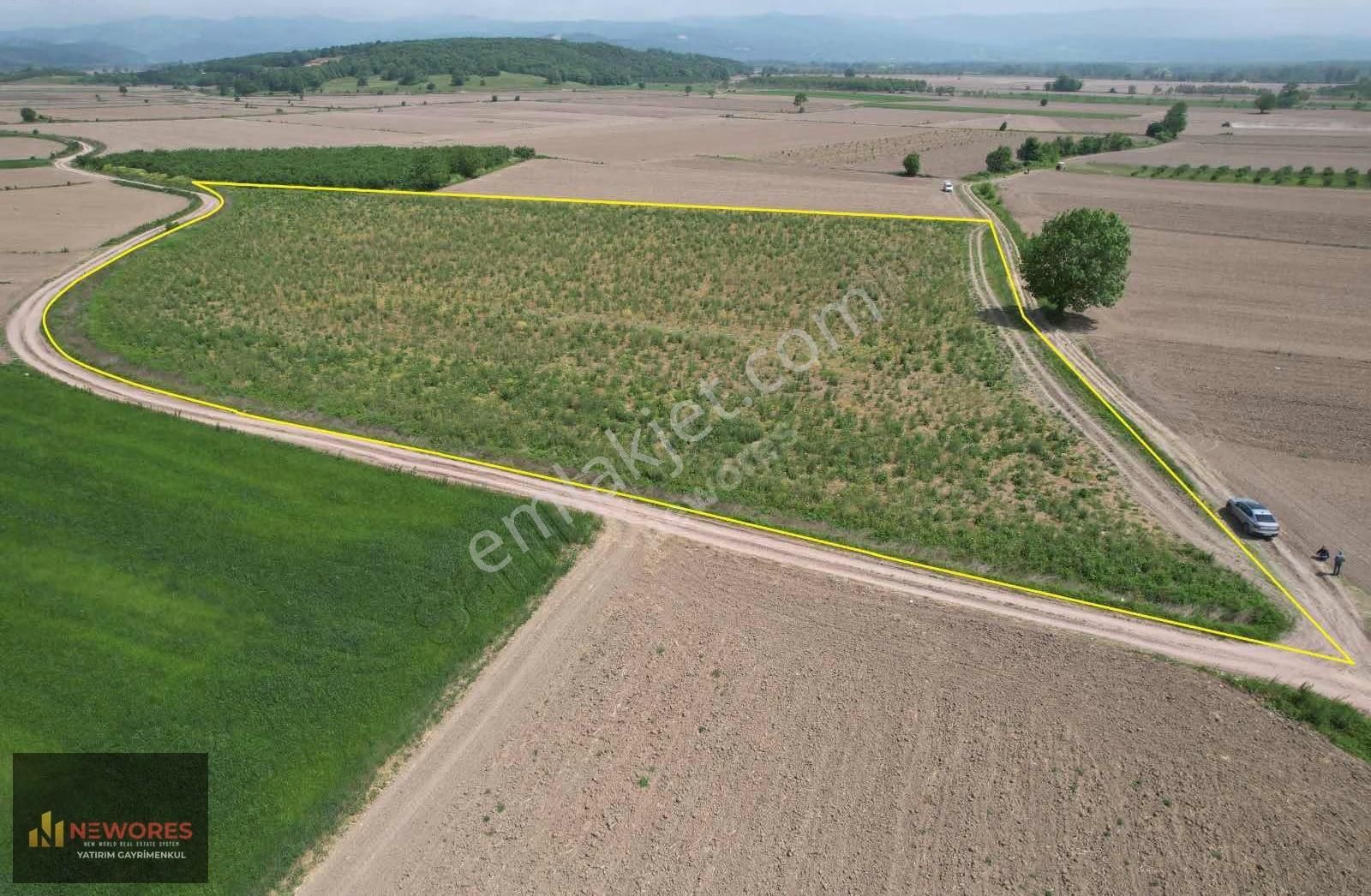 Sakarya Söğütlü 17 Dönüm Arazi - Görsel 4