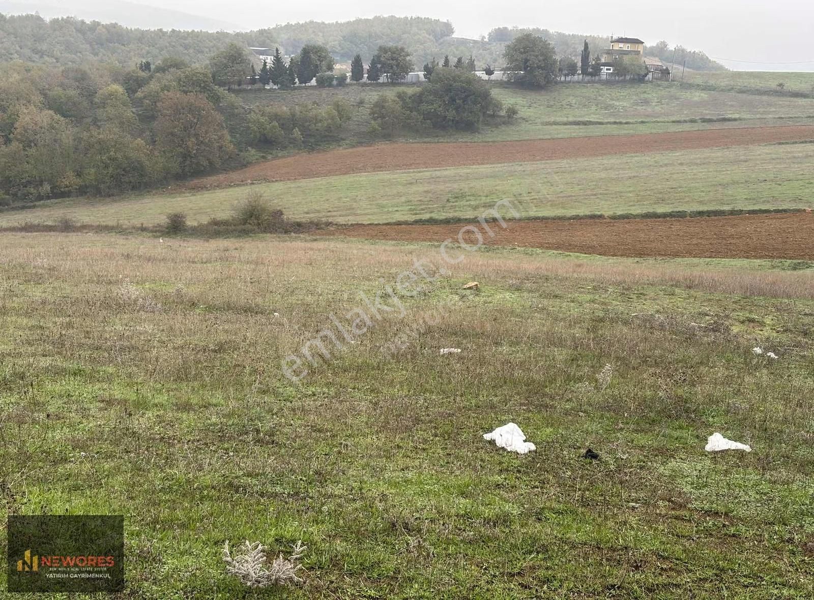 Denizli Köyünde Yola Cephe Satılık Ticari Arsa - Görsel 6