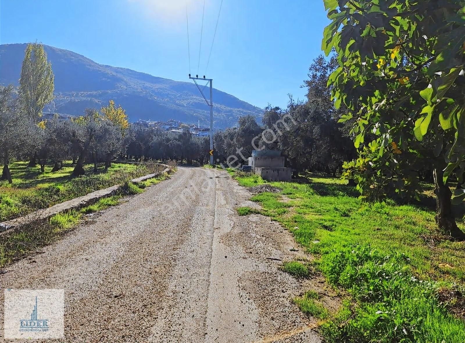 Bursa Orhangazi Heceler Mah.323m2 Hobi Bahçesi - Görsel 3