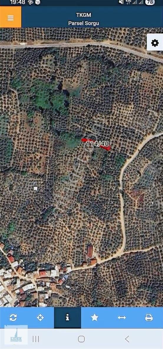 Bursa Orhangazi Heceler Mah.323m2 Hobi Bahçesi - Görsel 4