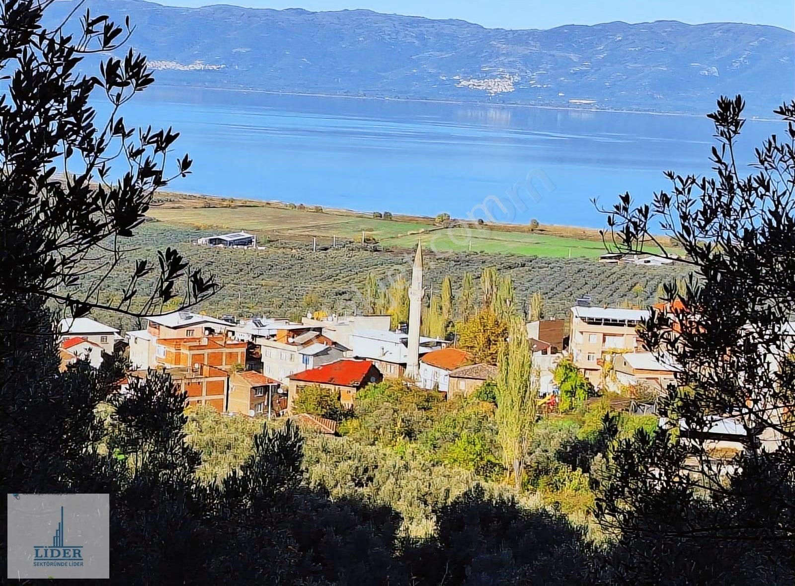 Bursa Orhangazi Heceler Mah.2270 M2 Yatırım İçin Uygun Zeytinlik