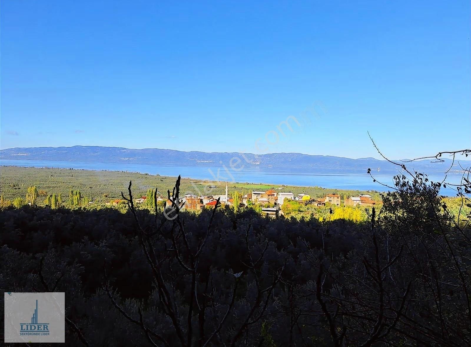 Bursa Orhangazi Heceler Mah.2270 M2 Yatırım İçin Uygun Zeytinlik - Görsel 2