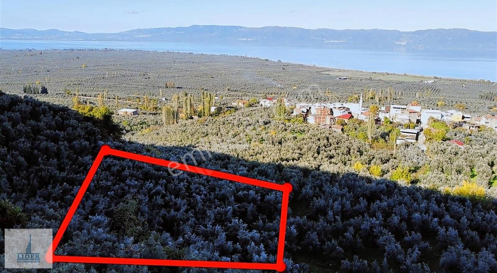 Bursa Orhangazi Heceler Mah.2270 M2 Yatırım İçin Uygun Zeytinlik - Görsel 14
