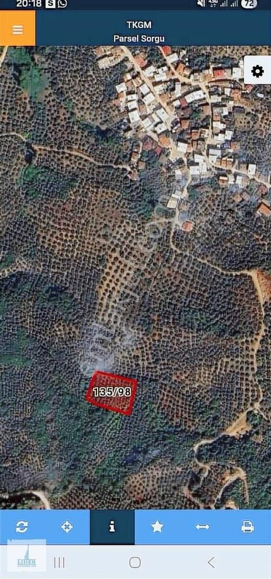 Bursa Orhangazi Heceler Mah.2270 M2 Yatırım İçin Uygun Zeytinlik - Görsel 24