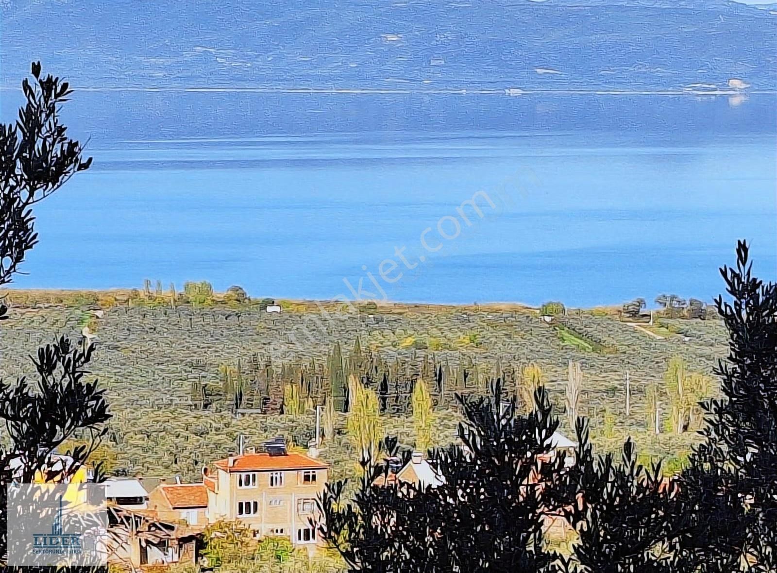 Bursa Orhangazi Heceler Mah.2270 M2 Yatırım İçin Uygun Zeytinlik - Görsel 16