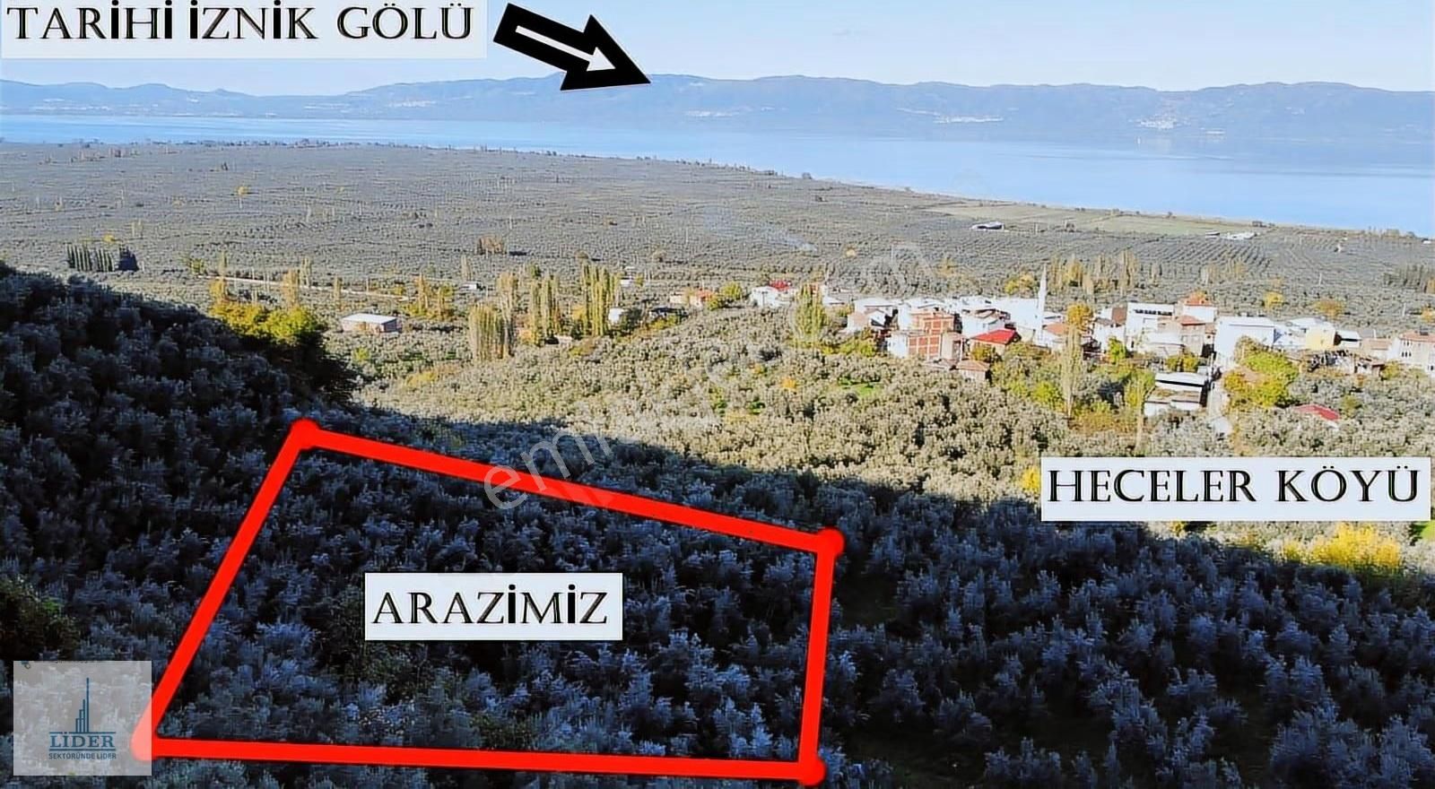 Bursa Orhangazi Heceler Mah.2270 M2 Yatırım İçin Uygun Zeytinlik - Görsel 9