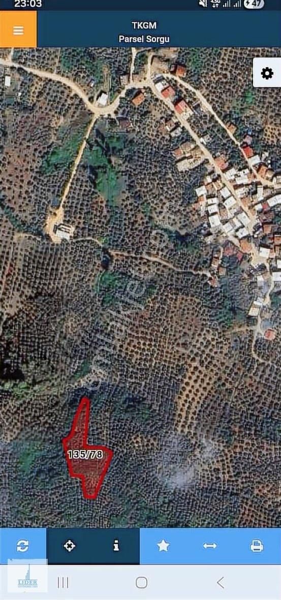 Bursa Orhangazi Heceler Mah.eşsiz Göl Manzaralı 3162m2 Zeytinlik - Görsel 7