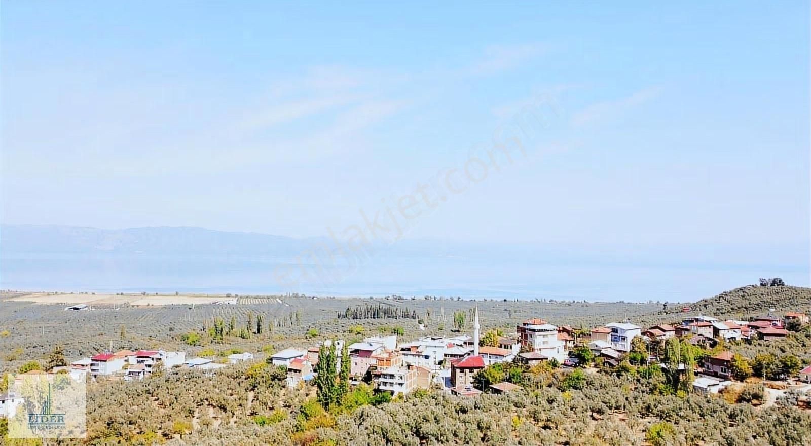 Bursa Orhangazi Heceler Mah.eşsiz Göl Manzaralı 3162m2 Zeytinlik - Görsel 8